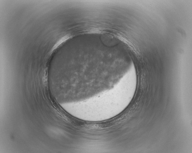 X0000116051450200912181241