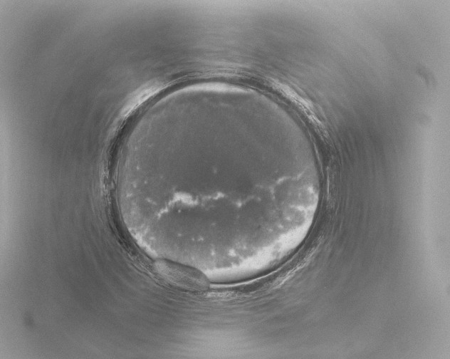 X0000116051453200912181241