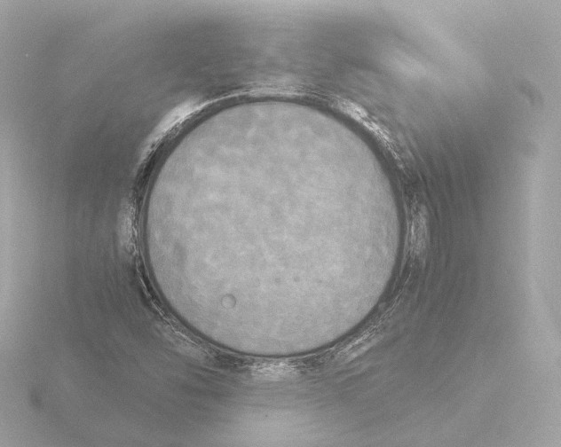 X0000116051454200912181241