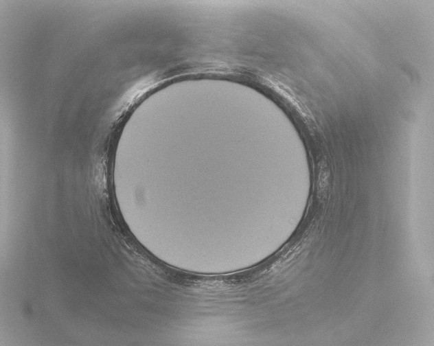 X0000116051455200912181241