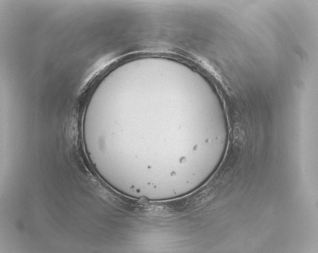 X0000116051456200912181241