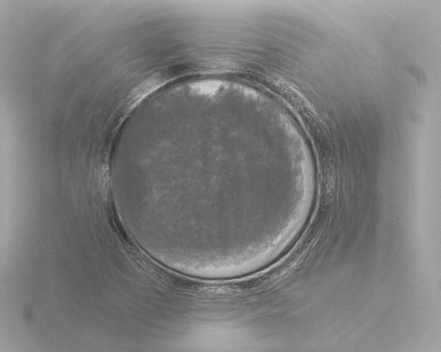 X0000116051457200912181241