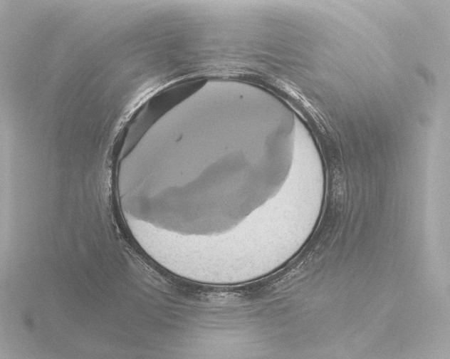 X0000116051459200912181241