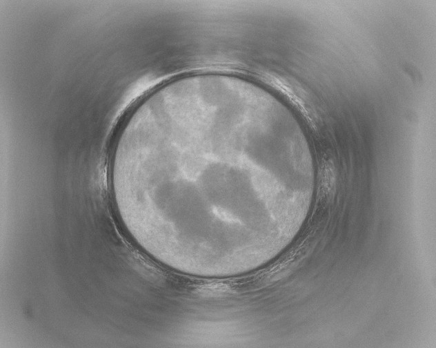 X0000116051462200912181241