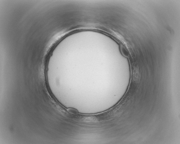 X0000116051464200912181241