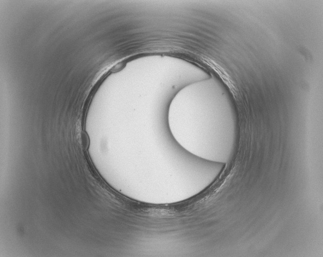 X0000116051465200912181241