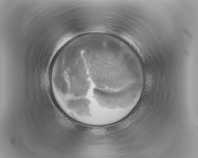 X0000116051466200912181241