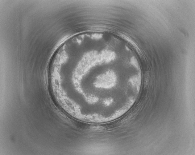 X0000116051467200912181241