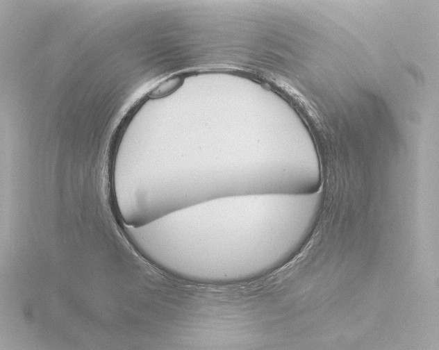 X0000116051469200912181241