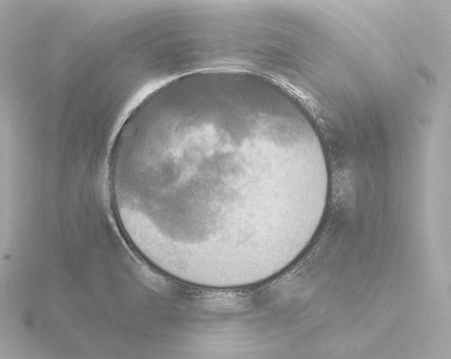 X0000116051470200912181241