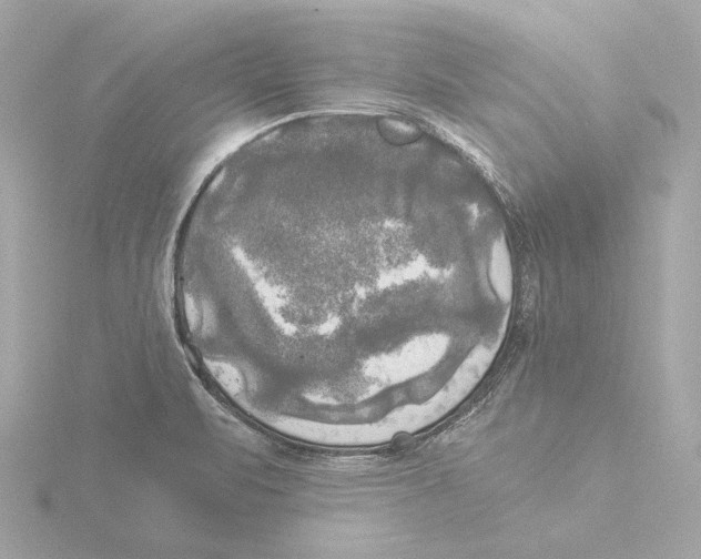 X0000116051471200912181241