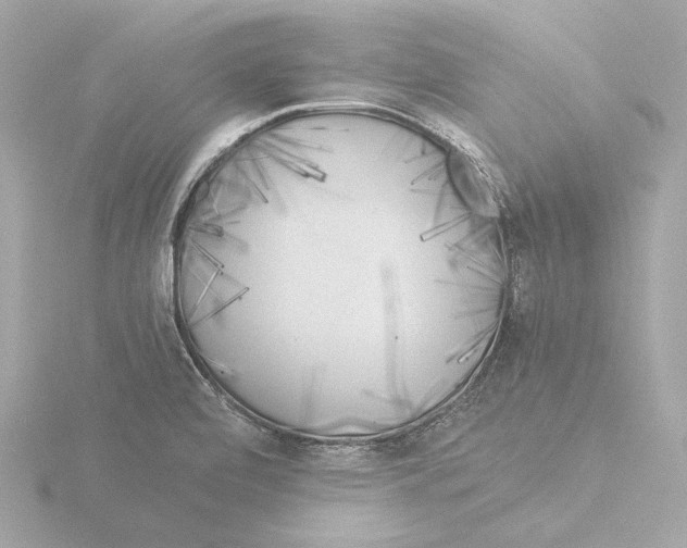 X0000116051472200912181241