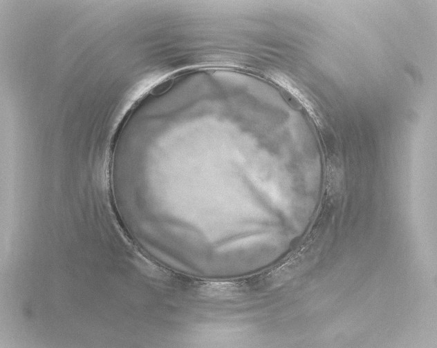 X0000116051477200912181241