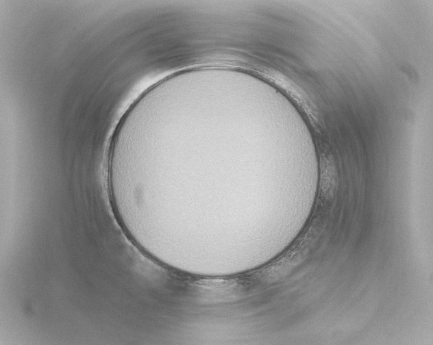 X0000116051478200912181241