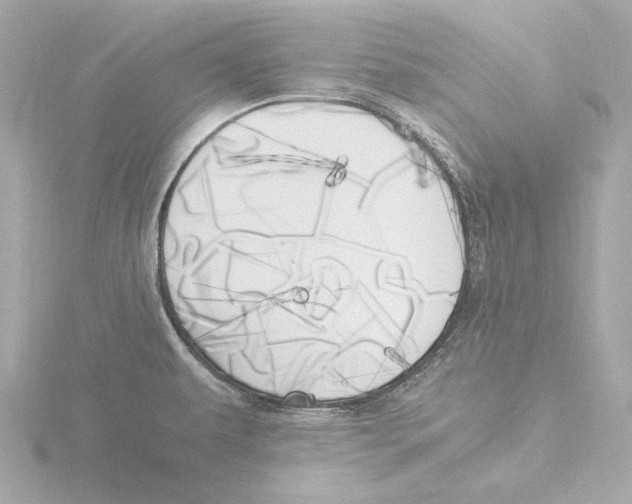 X0000116051479200912181241