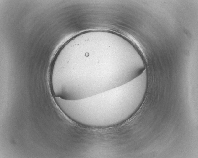 X0000116051480200912181241