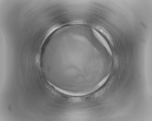 X0000116051481200912181241