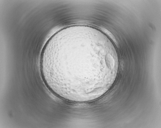 X0000116051482200912181241