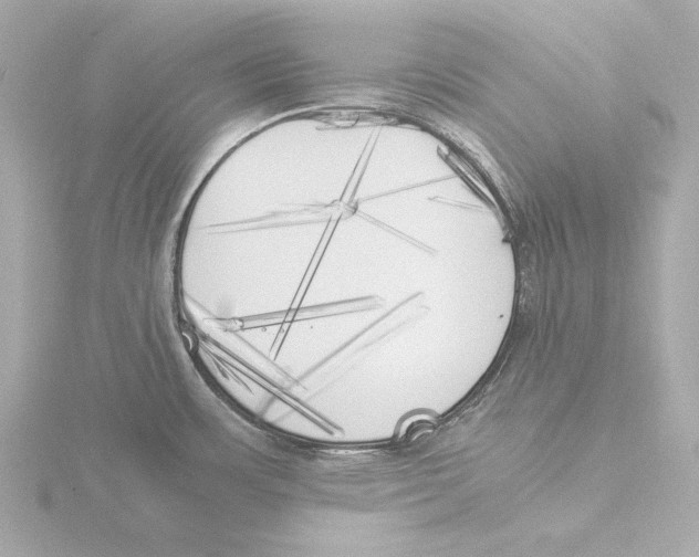 X0000116051483200912181241