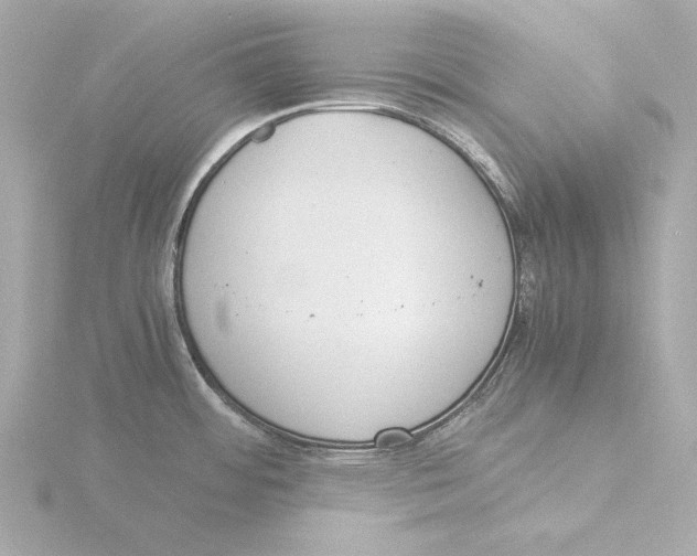 X0000116051484200912181241