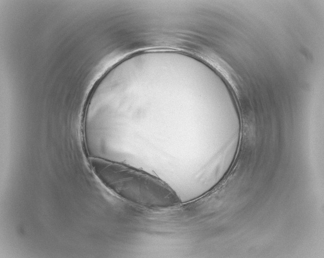 X0000116051485200912181241