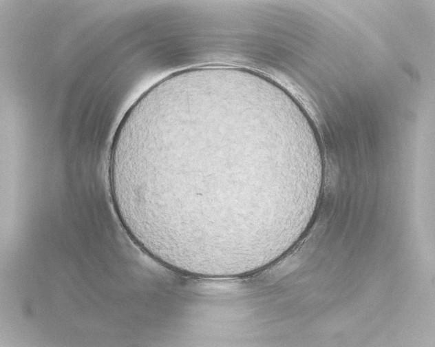 X0000116051486200912181241