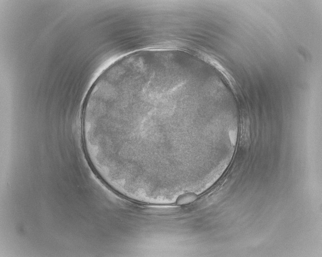 X0000116051487200912181241