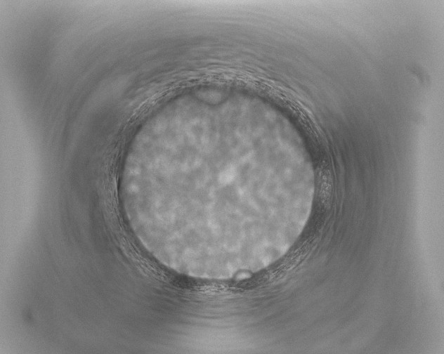 X0000116051489200912181240