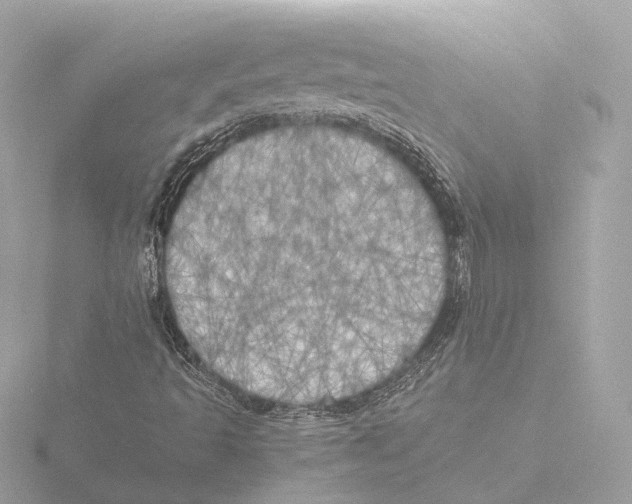 X0000116051493200912181240