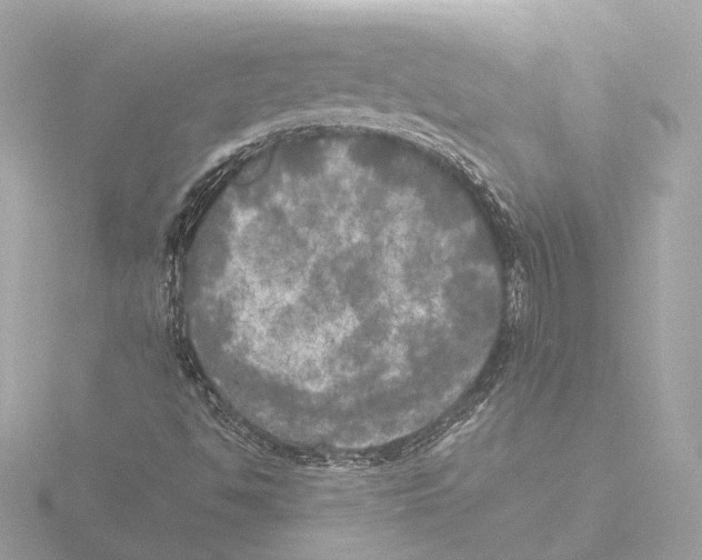 X0000116051494200912181240