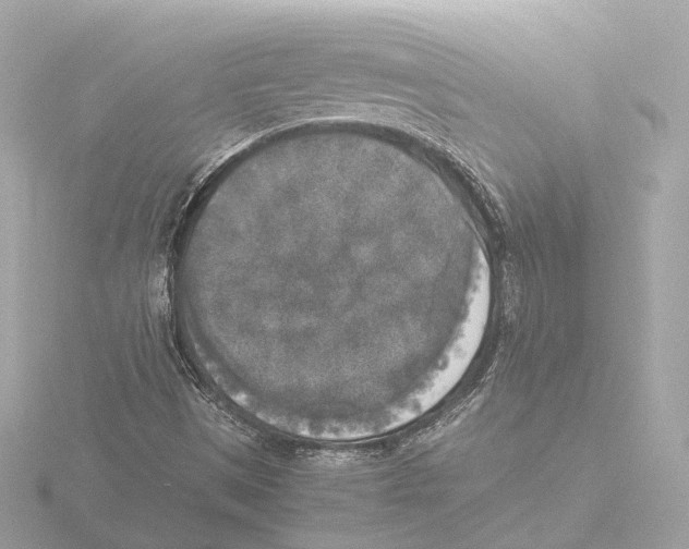 X0000116051497200912181240