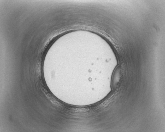 X0000116051499200912181240