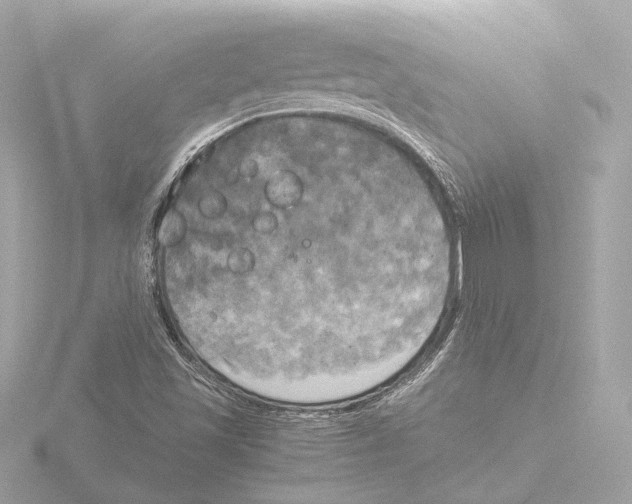 X0000116051501200912181240