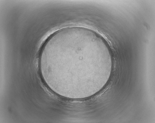 X0000116051503200912181240