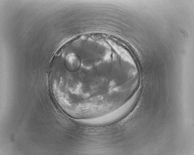 X0000116051505200912181240