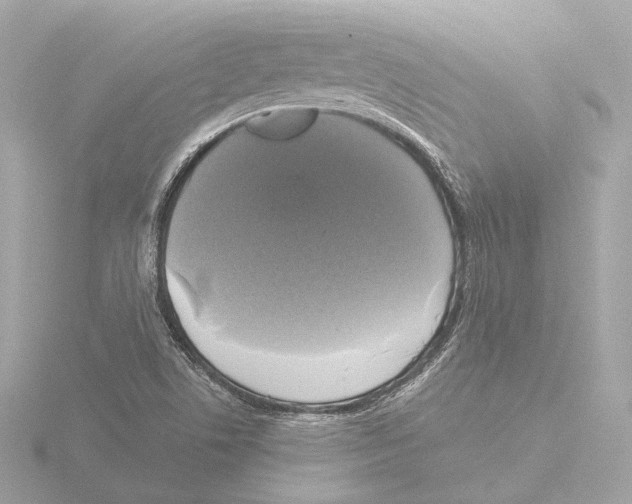 X0000116051506200912181240