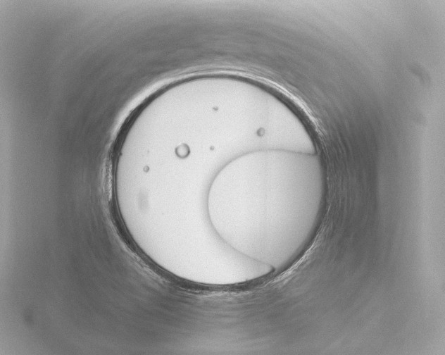 X0000116051510200912181240