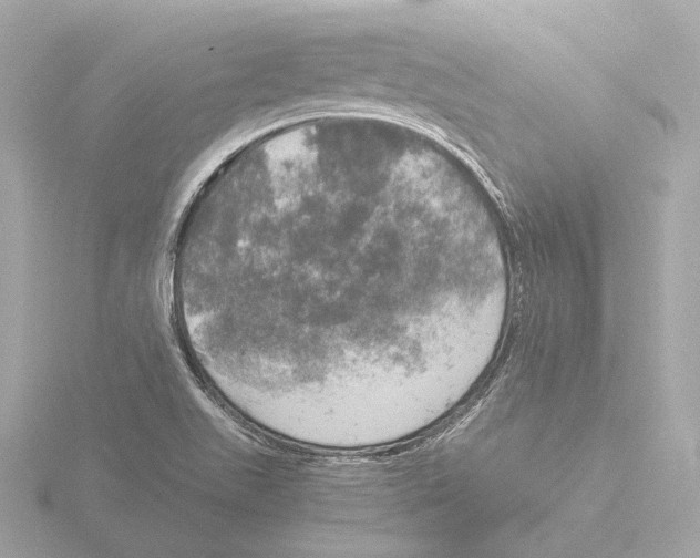 X0000116051511200912181240