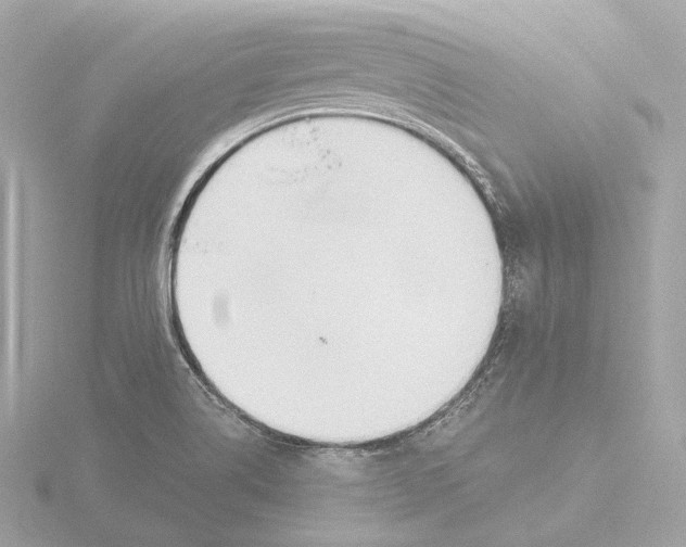 X0000116051514200912181240