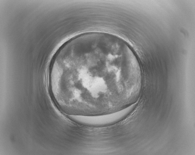 X0000116051515200912181240