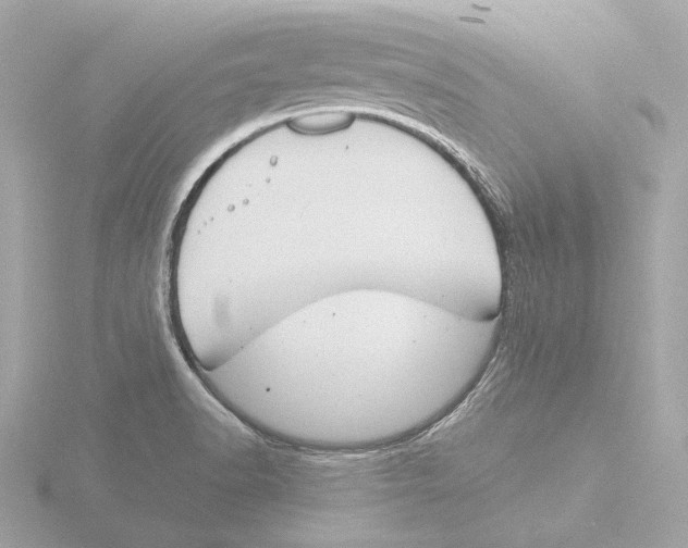 X0000116051518200912181241