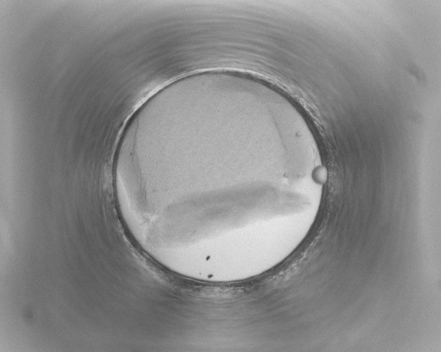 X0000116051521200912181241