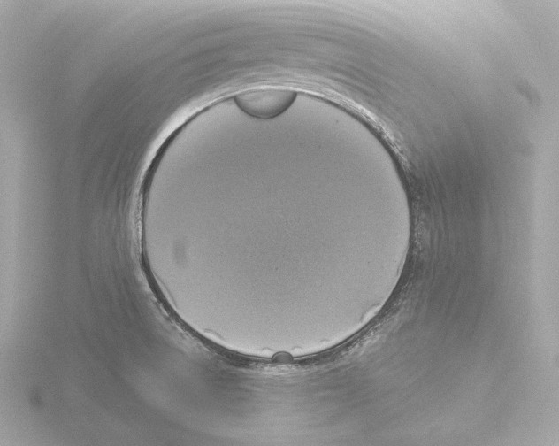 X0000116051522200912181241