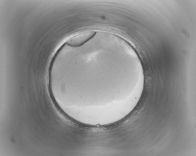 X0000116051523200912181241