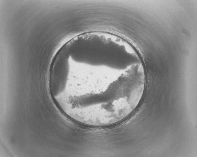 X0000116051525200912181241