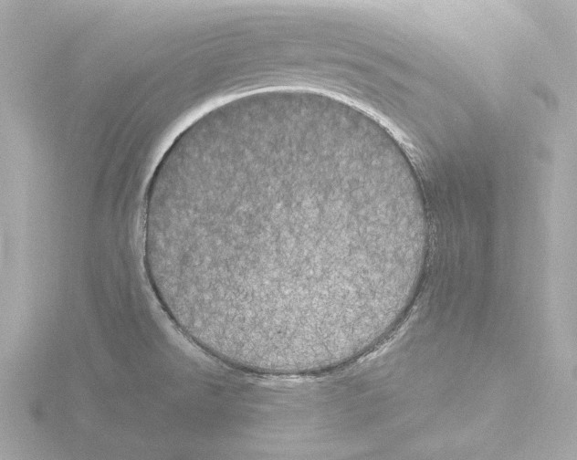 X0000116051526200912181241