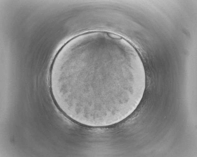 X0000116051527200912181241