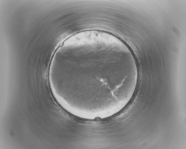 X0000116051529200912181241