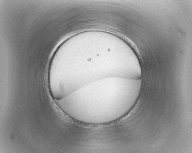 X0000116051530200912181241