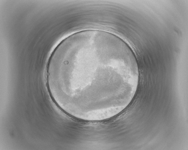 X0000116051531200912181241